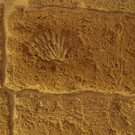 Apartment Locazione Breve Nautilus - Antica Dimora Indipendente Con Patio Monopoli