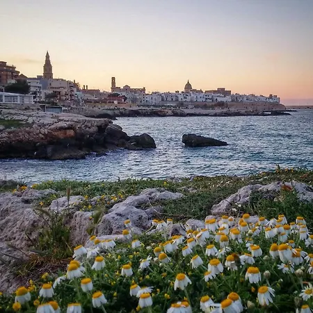 Locazione Breve Nautilus - Antica Dimora Indipendente Con Patio * Monopoli